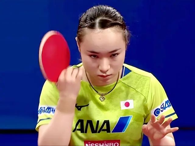 托特纳姆热
