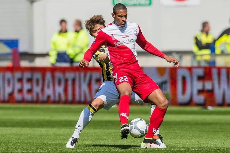 塞尔塔贡献 塞尔塔贡献