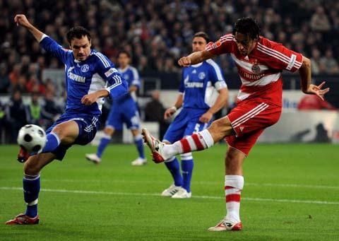 支持女篮的 支持女篮的